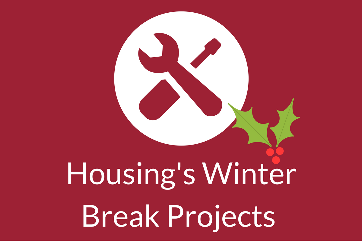 Bathroom Blitz and Duncan Furniture: Housing Projects During Winter Break
